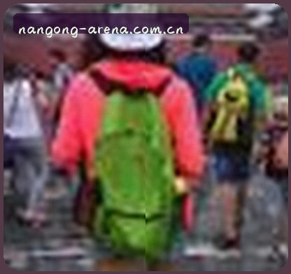 吴总